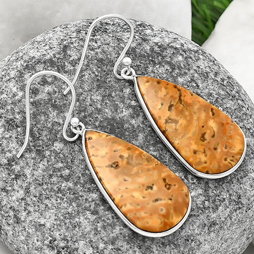 Natural Palm Root Fossil Agate Earrings E-1001 SDE77114