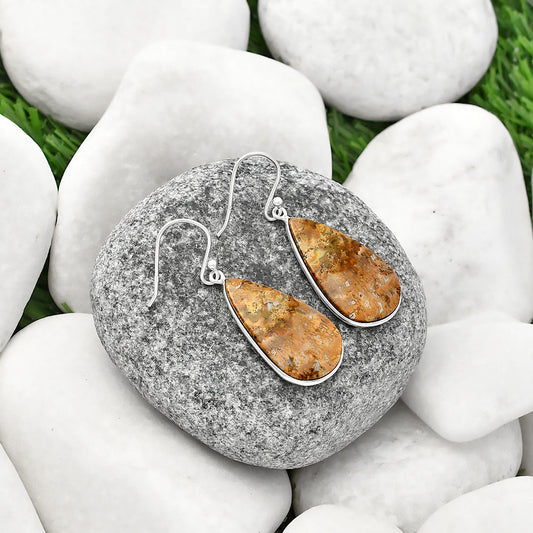 Natural Palm Root Fossil Agate Earrings E-1001 SDE77117