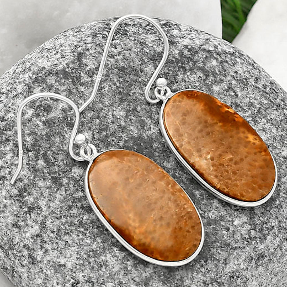 Natural Palm Root Fossil Agate Earrings E-1001 SDE77120