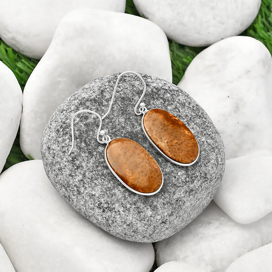 Natural Palm Root Fossil Agate Earrings E-1001 SDE77120