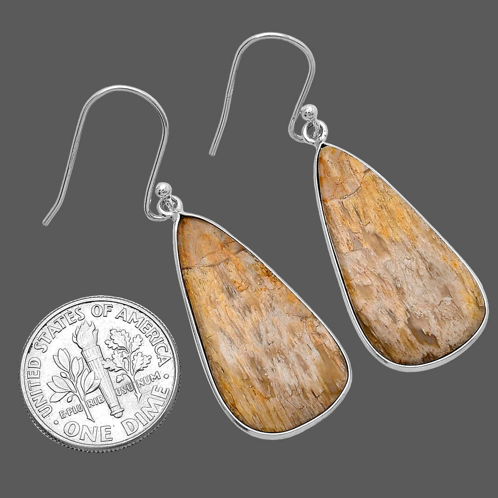 Natural Palm Root Fossil Agate Earrings E-1001 SDE79884