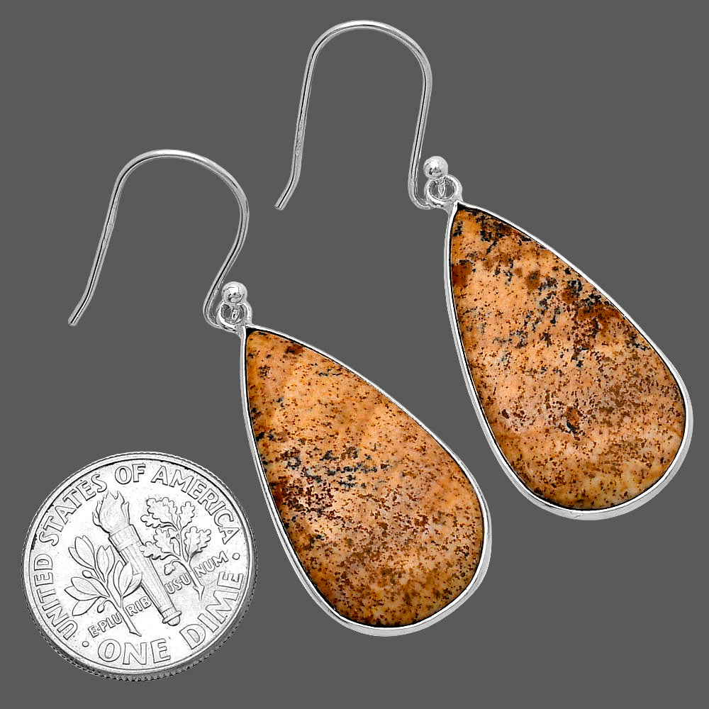 Natural Picture Jasper Earrings E-1001 SDE79896