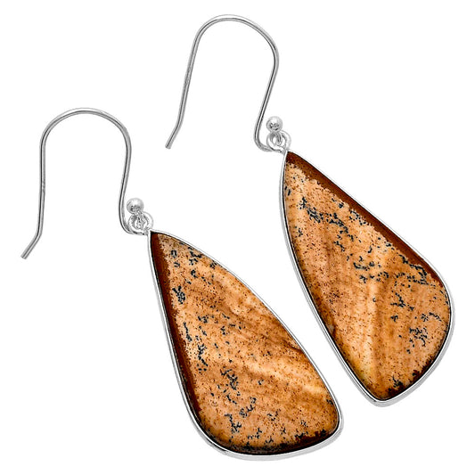 Natural Picture Jasper Earrings E-1001 SDE79897