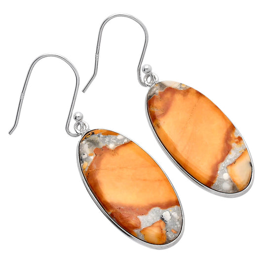Natural Picture Jasper Earrings E-1001 SDE81776