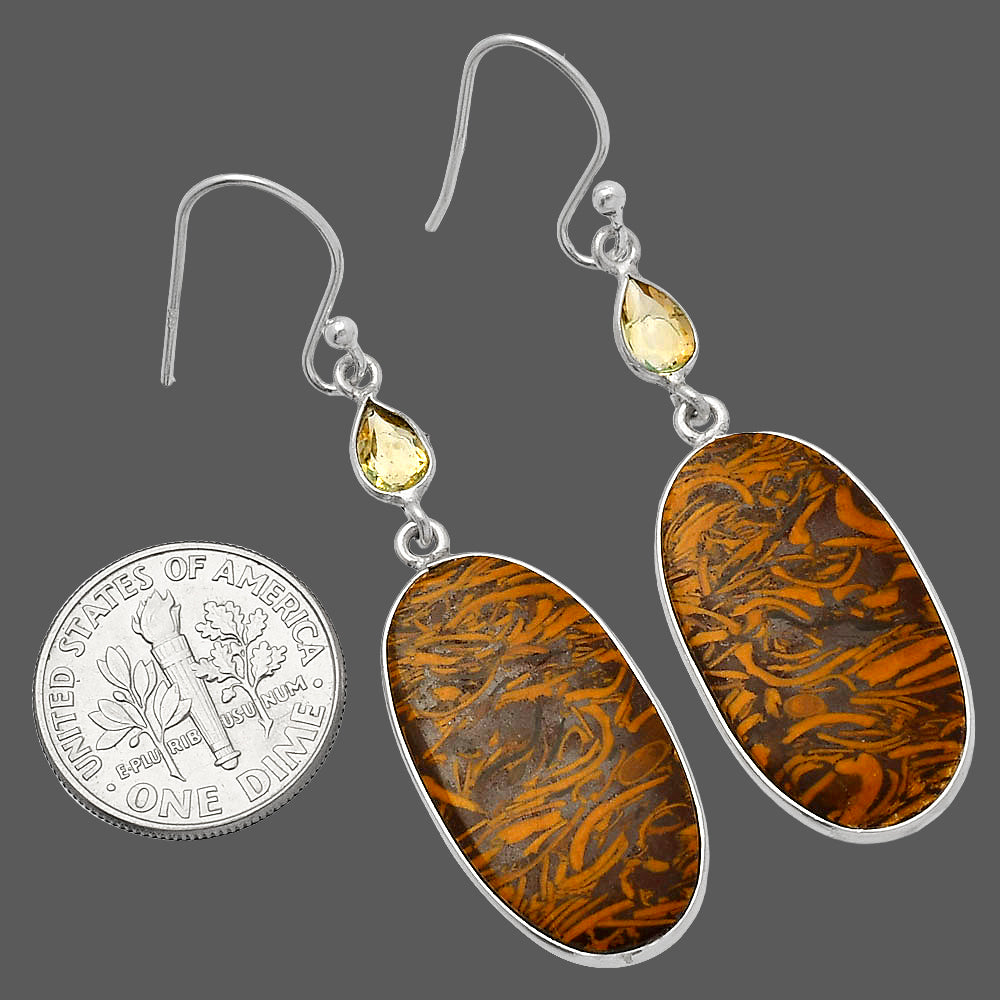 Coquina Fossil Jasper & Citrine Earrings E-1002 SDE82522