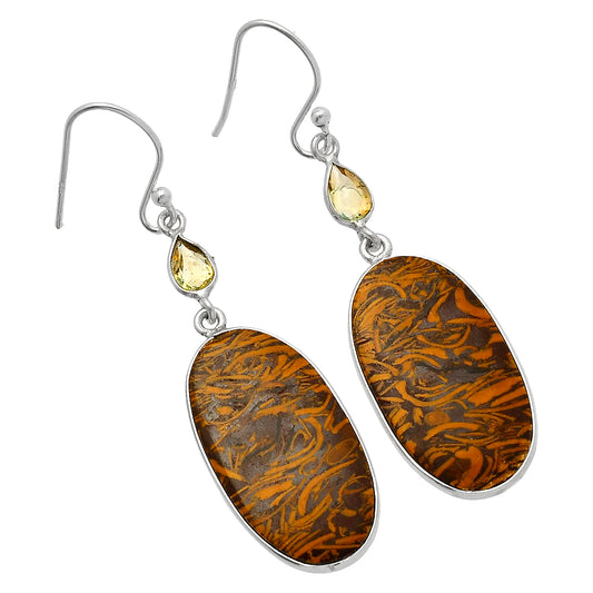 Coquina Fossil Jasper & Citrine Earrings E-1002 SDE82522