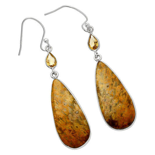 Palm Root Fossil Agate & Citrine Earrings E-1002 SDE82536