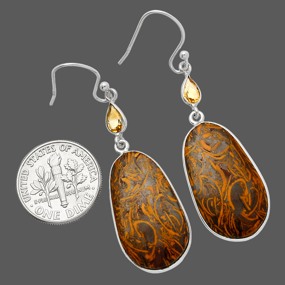 Coquina Fossil Jasper & Citrine Earrings E-1002 SDE82541