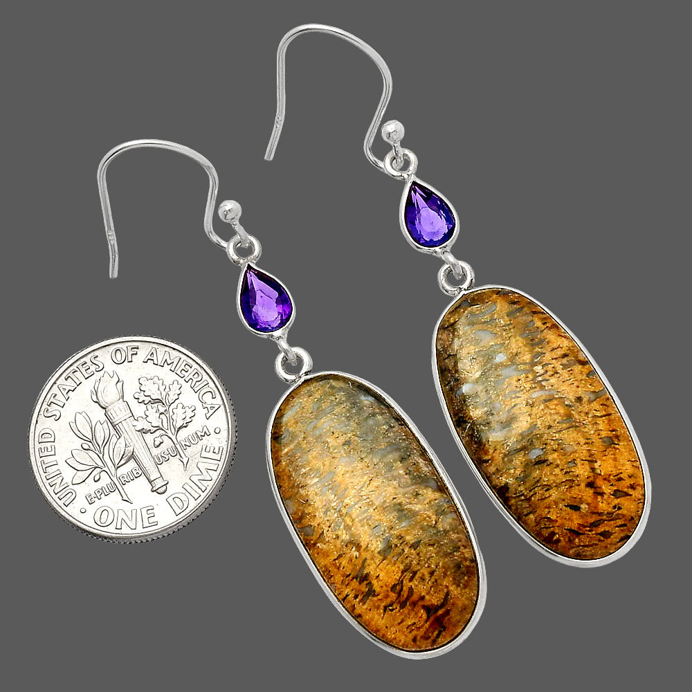 Palm Root Fossil Agate & Amethyst Earrings E-1002 SDE82625