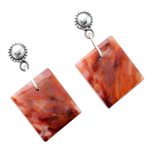 Natural Pietersite - Namibia Earrings E-1227 SDE86586