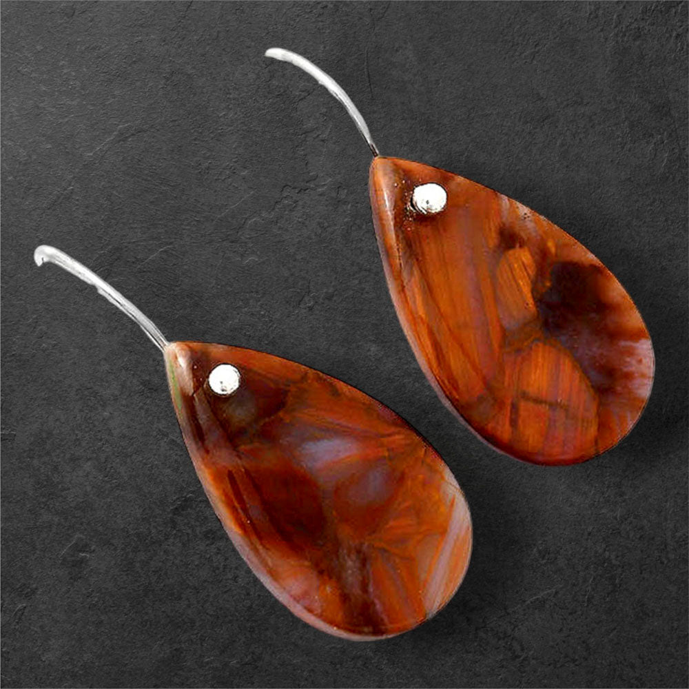 Natural Pietersite - Namibia Earrings E-1082 SDE86591