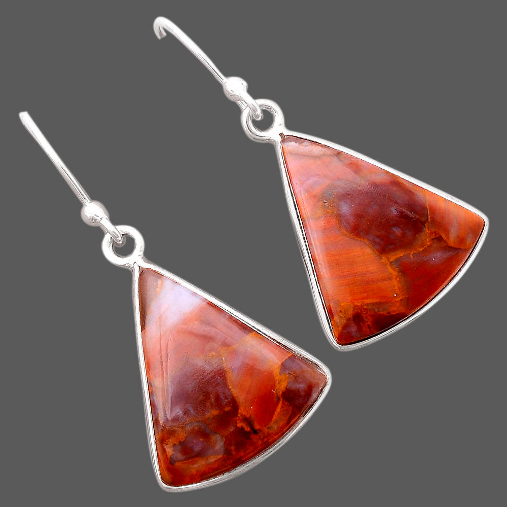 Natural Pietersite - Namibia Earrings E-1001 SDE86999