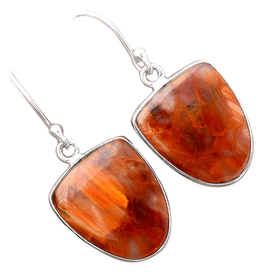 Natural Pietersite - Namibia Earrings E-1001 SDE87001