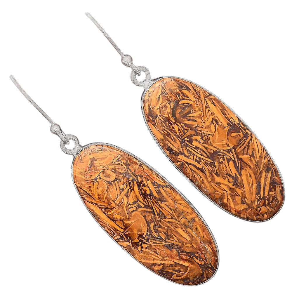 Natural Coquina Fossil Jasper India Earrings E-1001 SDE87841