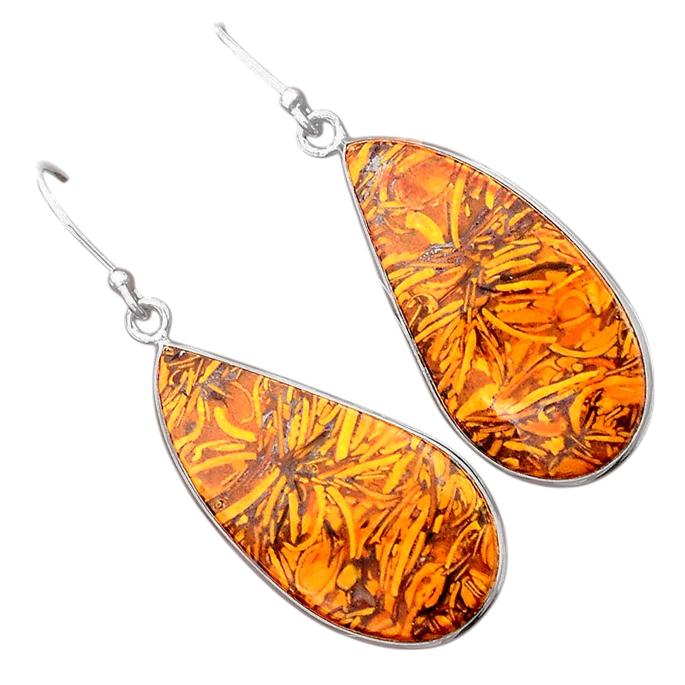 Natural Coquina Fossil Jasper India Earrings E-1001 SDE87865