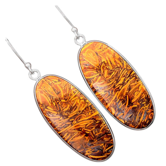 Natural Coquina Fossil Jasper India Earrings E-1001 SDE87871