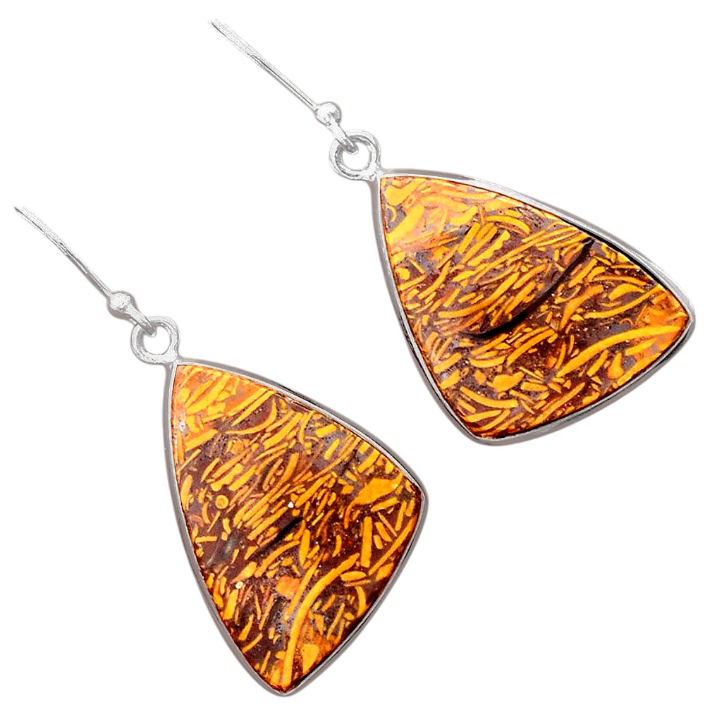 Natural Coquina Fossil Jasper India Earrings E-1001 SDE87875