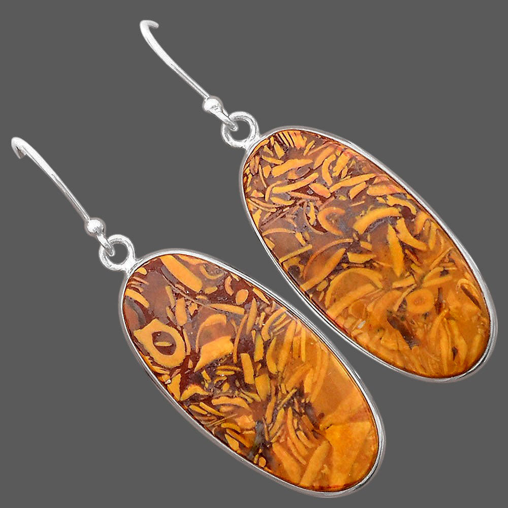 Natural Coquina Fossil Jasper India Earrings E-1001 SDE87887
