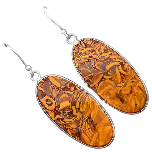 Natural Coquina Fossil Jasper India Earrings E-1001 SDE87887