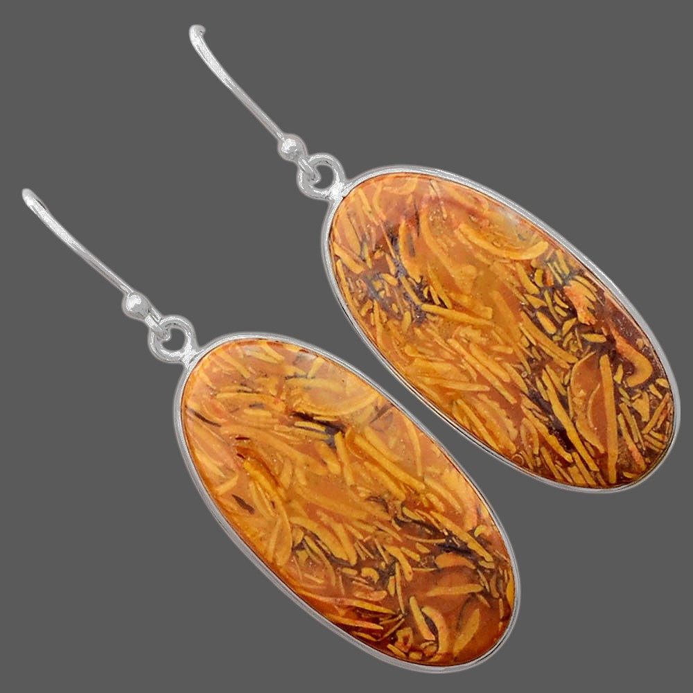 Natural Coquina Fossil Jasper India Earrings E-1001 SDE87892