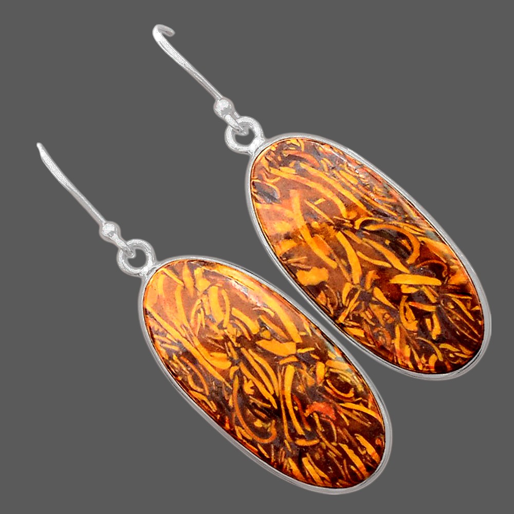 Natural Coquina Fossil Jasper India Earrings E-1001 SDE87899