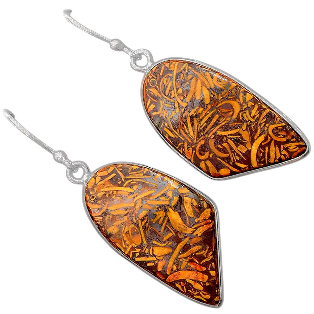 Natural Coquina Fossil Jasper India Earrings E-1001 SDE87900