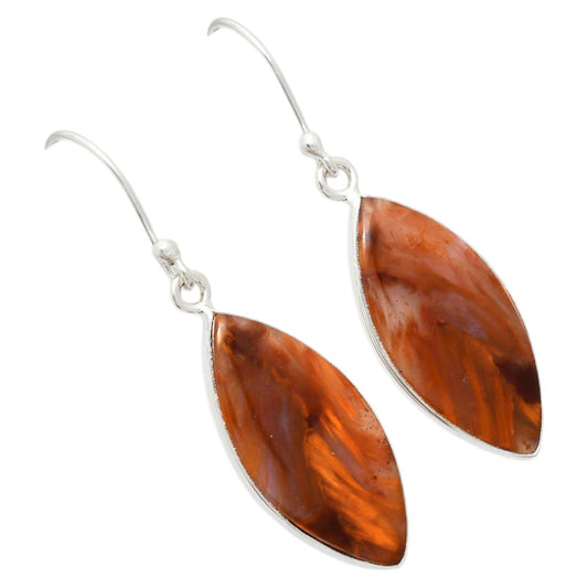 Natural Pietersite Earrings E-1001 SDE87960