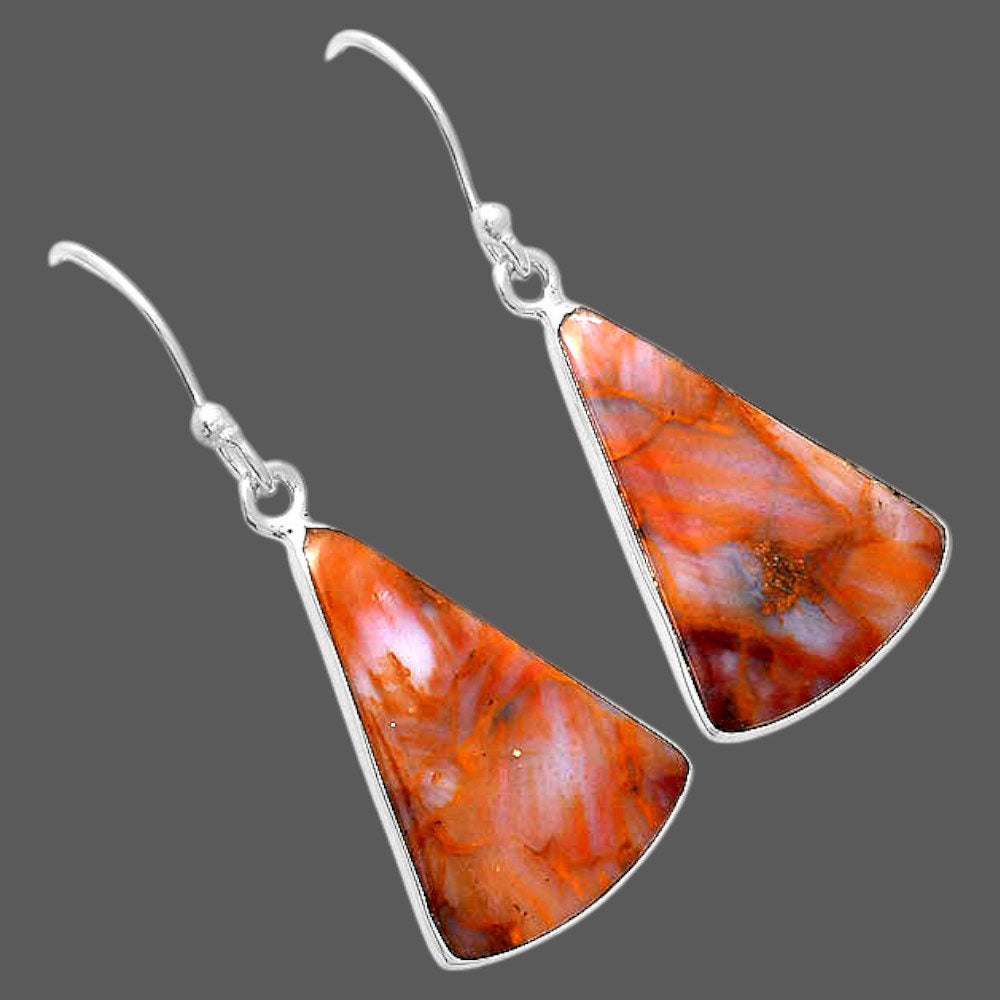 Natural Pietersite Earrings E-1001 SDE87971
