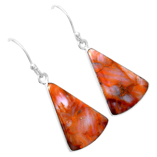 Natural Pietersite Earrings E-1001 SDE87971