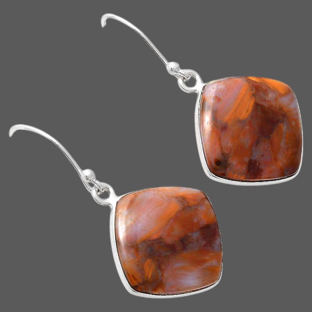 Natural Pietersite Earrings E-1001 SDE87975