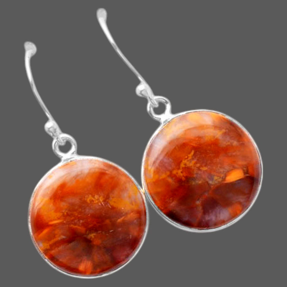 Natural Pietersite Earrings E-1001 SDE87986