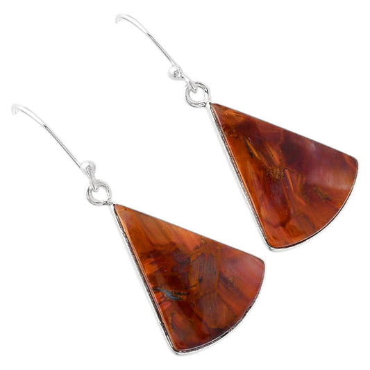 Natural Pietersite - Namibia Earrings E-1001 SDE87991