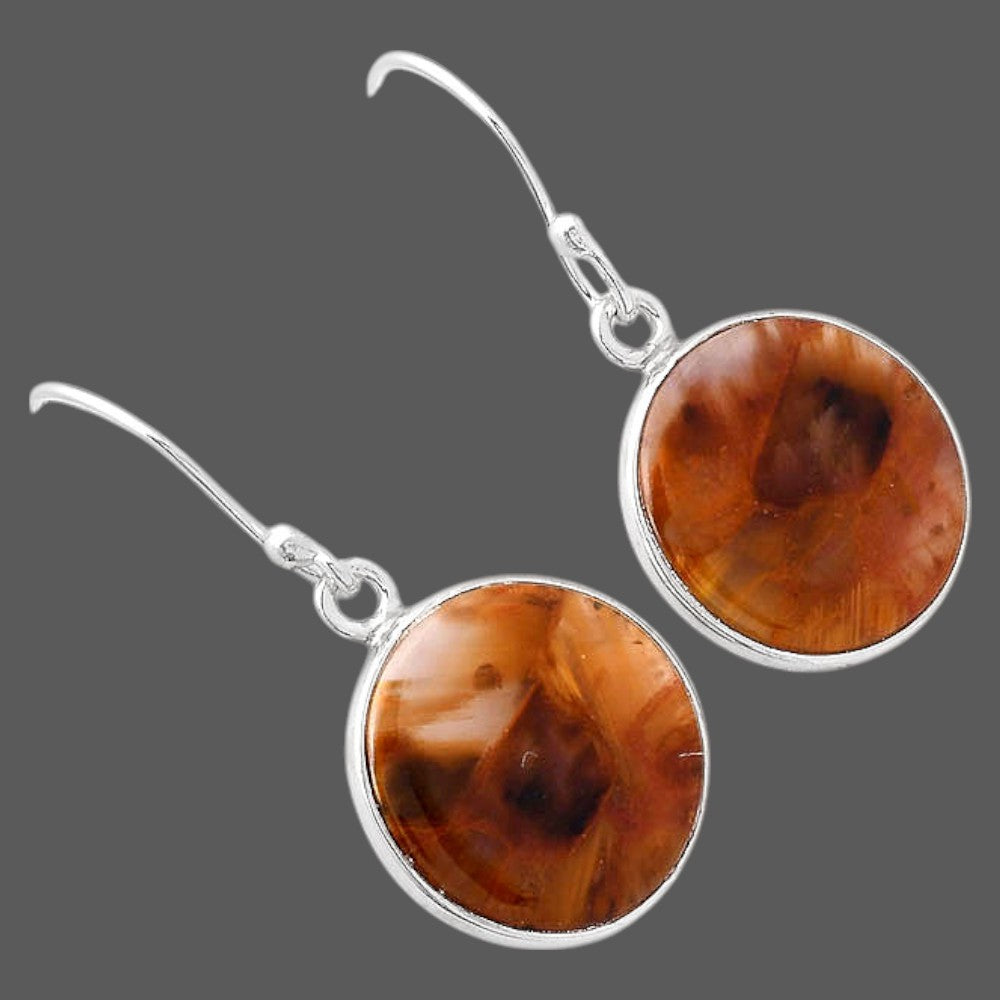 Natural Pietersite - Namibia Earrings E-1001 SDE88020