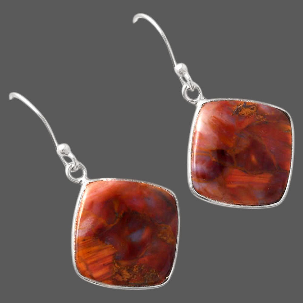 Natural Pietersite - Namibia Earrings E-1001 SDE88167
