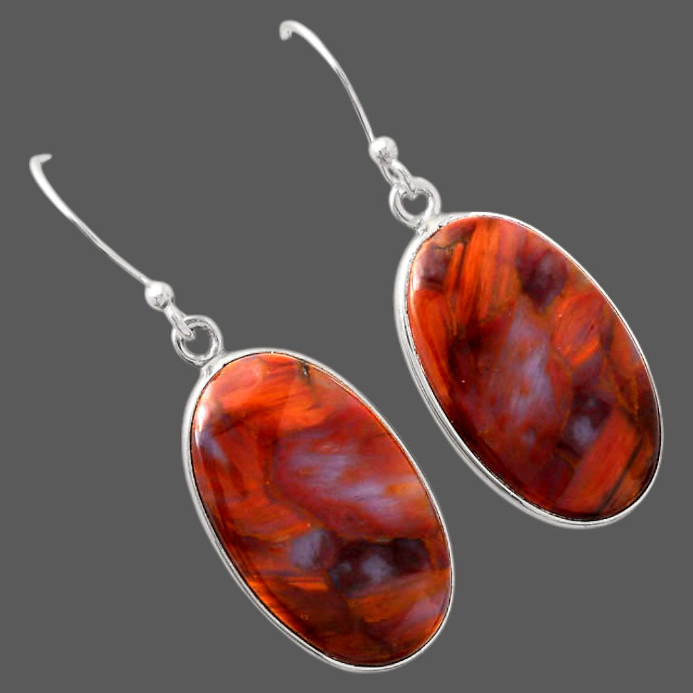 Natural Pietersite - Namibia Earrings E-1001 SDE88171