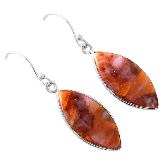 Natural Pietersite - Namibia Earrings E-1001 SDE88189