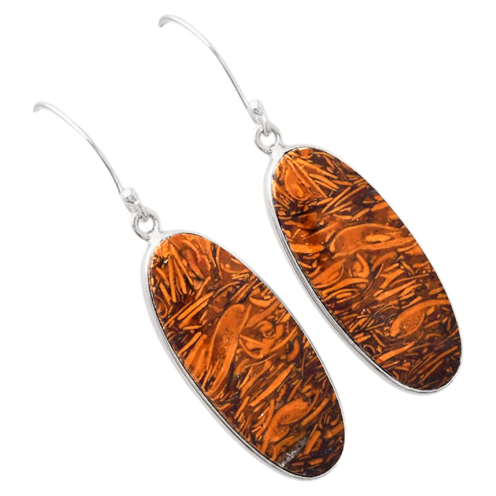 Natural Coquina Fossil Jasper India Earrings E-1001 SDE88218