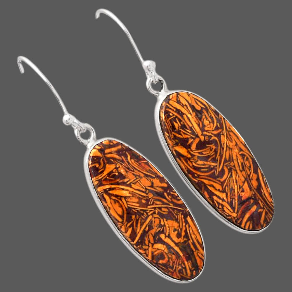Natural Coquina Fossil Jasper India Earrings E-1001 SDE88222