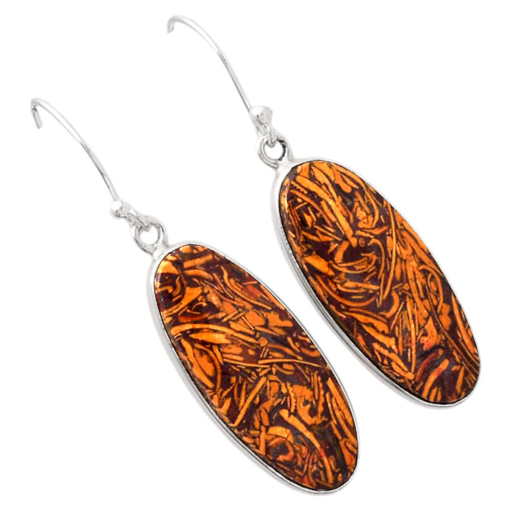 Natural Coquina Fossil Jasper India Earrings E-1001 SDE88222