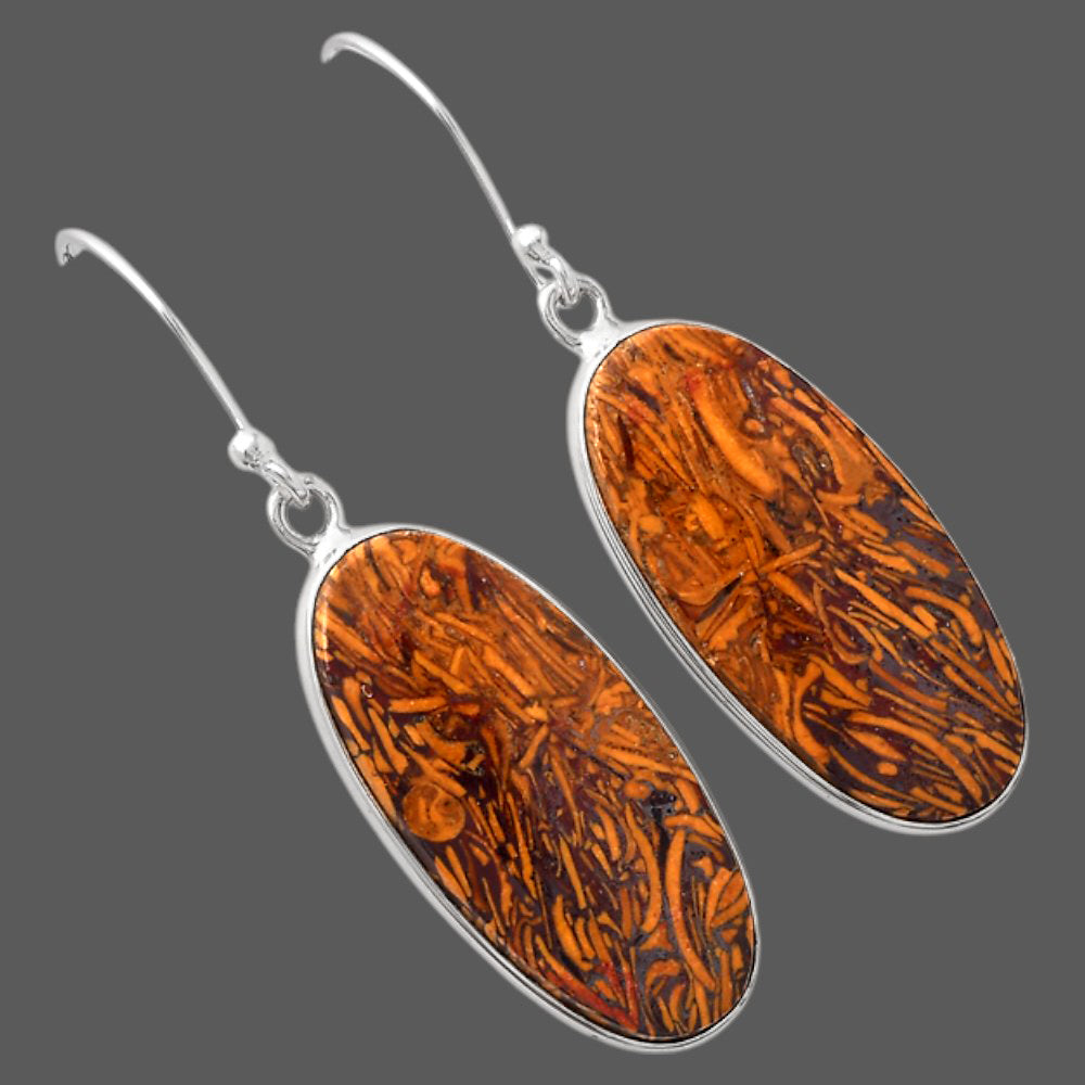 Natural Coquina Fossil Jasper India Earrings E-1001 SDE88234
