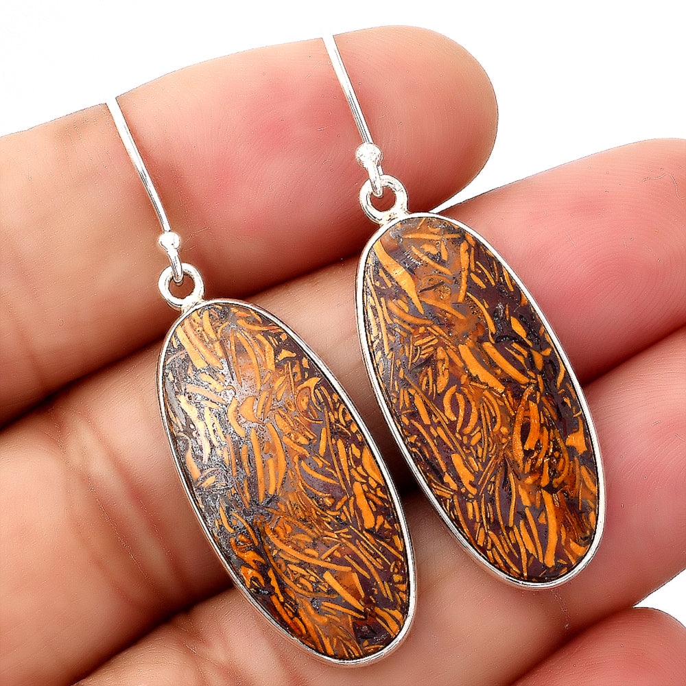 Natural Coquina Fossil Jasper India Earrings E-1001 SDE88236