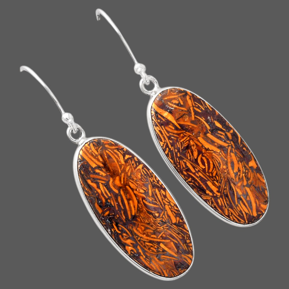 Natural Coquina Fossil Jasper India Earrings E-1001 SDE88236