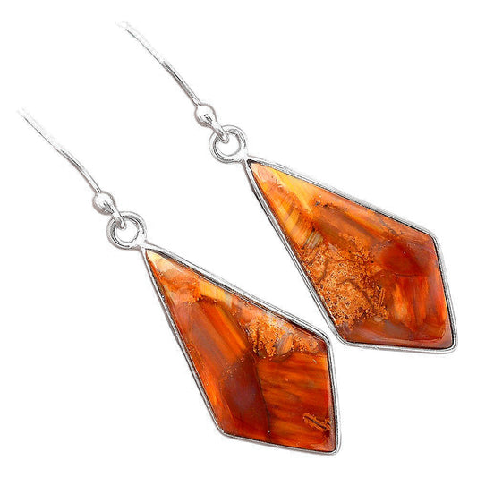 Natural Pietersite - Namibia Earrings E-1001 SDE88313