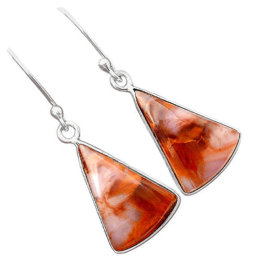 Natural Pietersite - Namibia Earrings E-1001 SDE88314