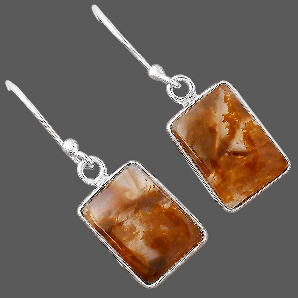 Natural Pietersite - Namibia Earrings E-1001 SDE88371