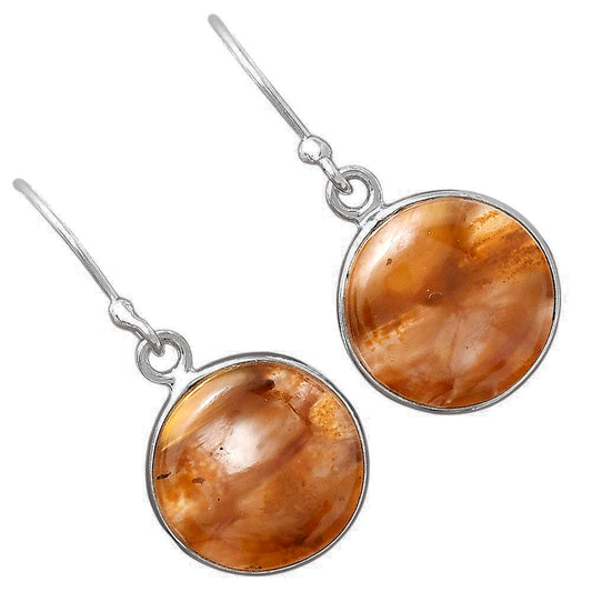 Natural Pietersite - Namibia Earrings E-1001 SDE88384