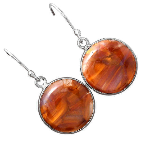 Natural Pietersite - Namibia Earrings E-1001 SDE88397