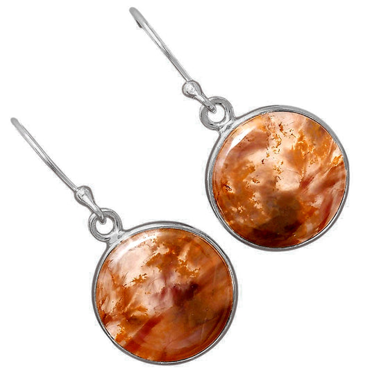Natural Pietersite - Namibia Earrings E-1001 SDE88400