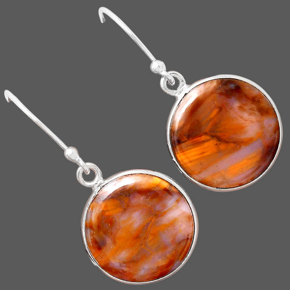 Natural Pietersite - Namibia Earrings E-1001 SDE88408