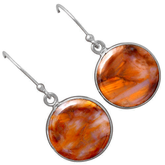 Natural Pietersite - Namibia Earrings E-1001 SDE88408